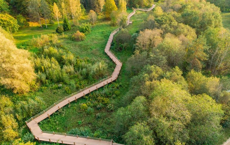 Cirulisu dabas takas (2)