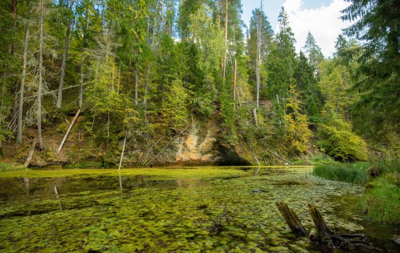 Cirulisu dabas takas (3)