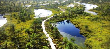 Пешеходный мост на Большом Кемерийском болоте