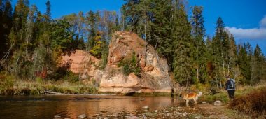 Скала Зварте