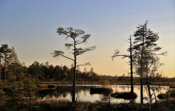 Dunikas purva taka-Rucava1