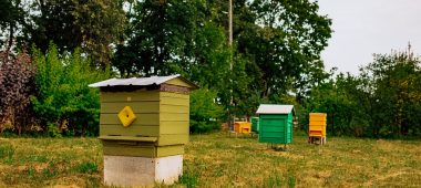 Латвийский музей истории пчеловодства