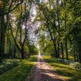 Skrīveru dendroloģiskais parks