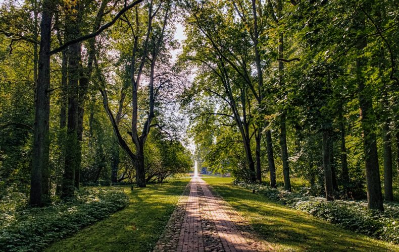Skrīveru dendroloģiskais parks