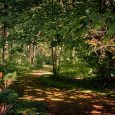Skrīveru dendroloģiskais parks3
