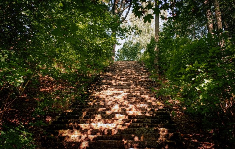 Skrīveru dendroloģiskais parks4
