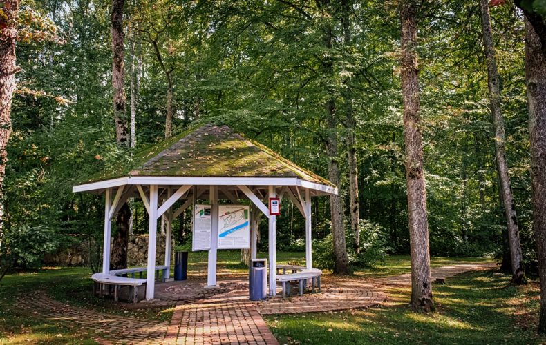 Skrīveru dendroloģiskais parks5