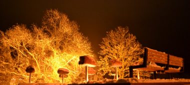 Каменные истории Гробинского района