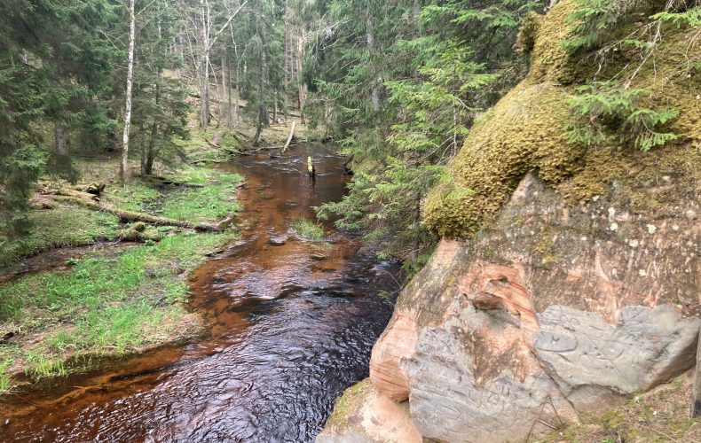 Kalejala