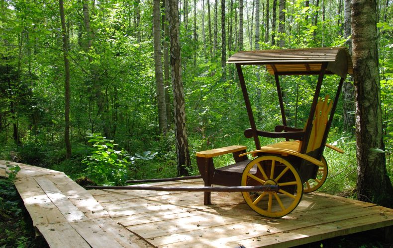 Minhayzena-muzejs-dabas-taka2