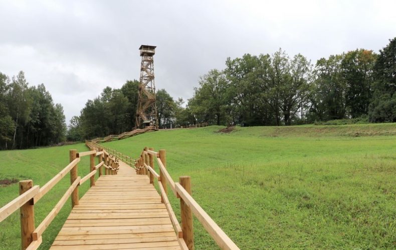 Ogre -Meņģele-skatutornis_taka_09_2017_1_6 (6)