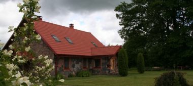 Станция реабилитации для хищных птиц