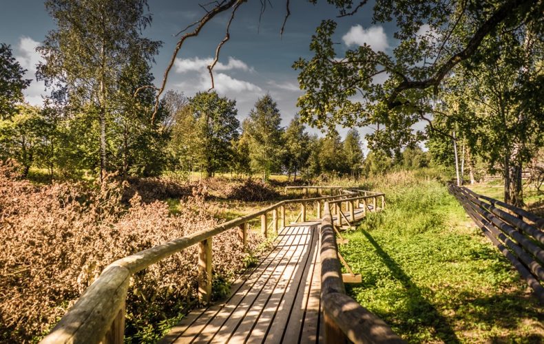 Aizpute-cirulu-zoo-17