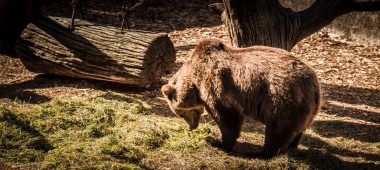 Филиал Рижского зоопарка «Цирули»