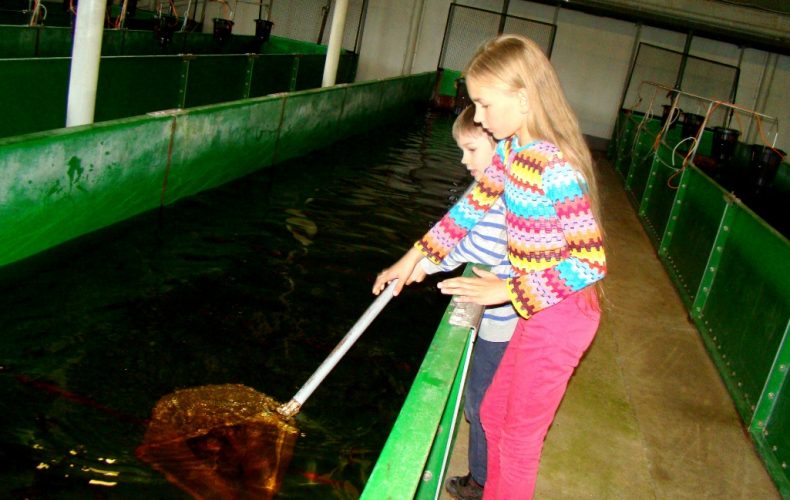 Рыбопитомник «Доле» (“Dole”)