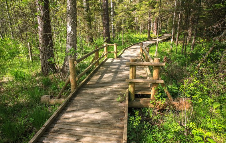 Dundaga-šlīteres-taka2