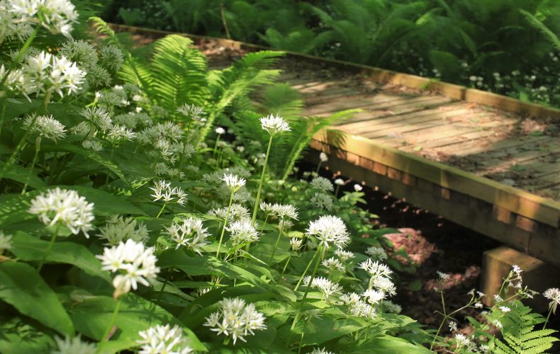 Dundaga-pēterezera-taka1