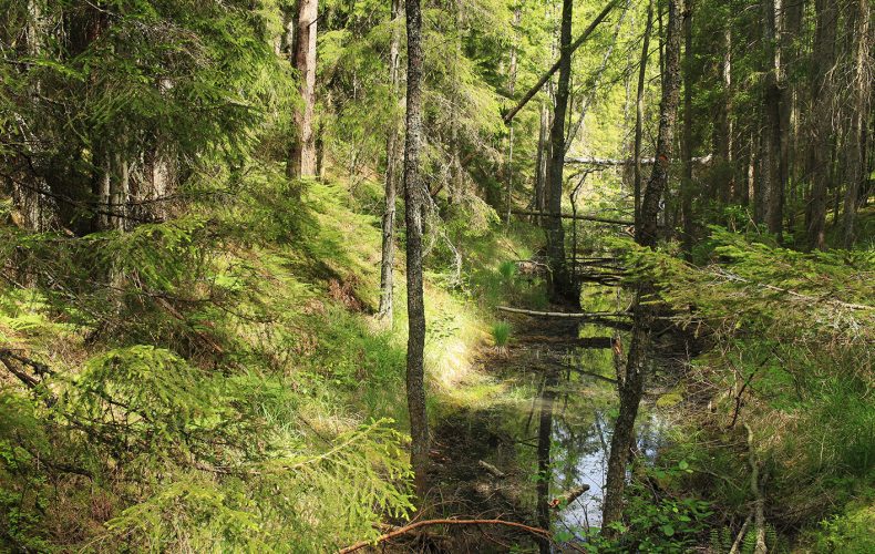 Dundaga-pēterezera-taka3