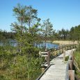 Dundaga-pēterezera-taka4