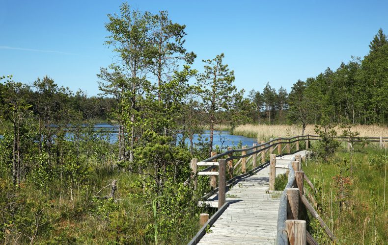 Dundaga-pēterezera-taka4