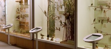 Латвийский национальный музей естественной истории