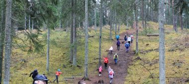 Замковый курган Чертене