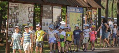 Природный парк  Латвийских государственных лесов (LVM) Тервете