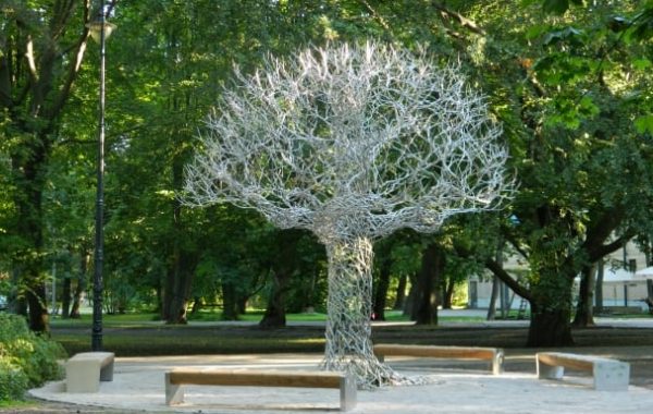 Liepāja-spoku-koks
