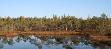 Природный заповедник «Тейчи»
