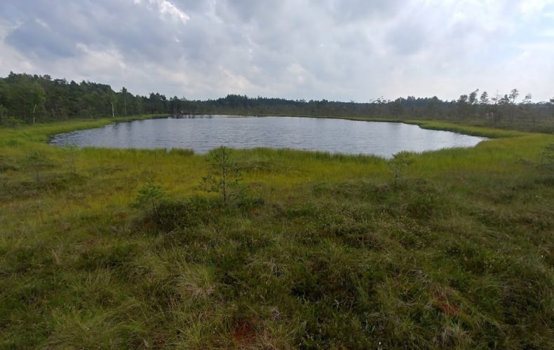 Kuldīga-kalnansu_purva_taka_3