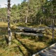 kuldīga-kalnansu_purva_taka_2