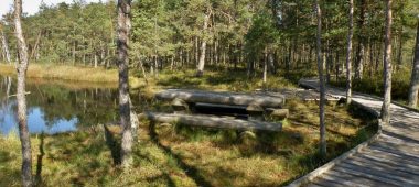 Болотная тропа Калнанси