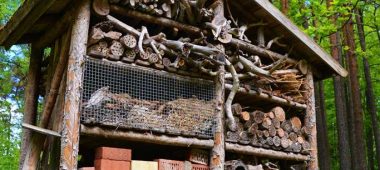 Природная тропа «Лустиндрува»