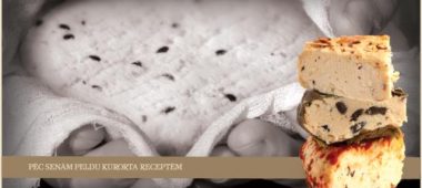 Дегустация сыра SierŠtelle