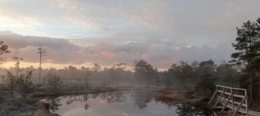 Природная тропа Недраю — болото Пилка