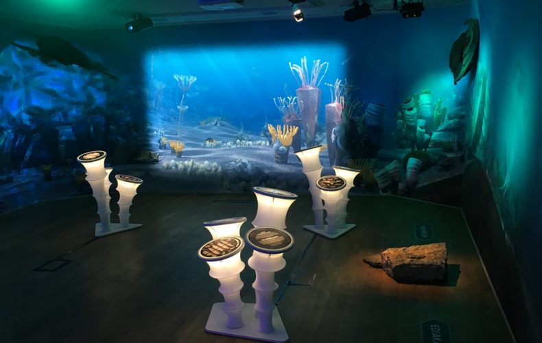 Jūras-dzelmju-noslēpums