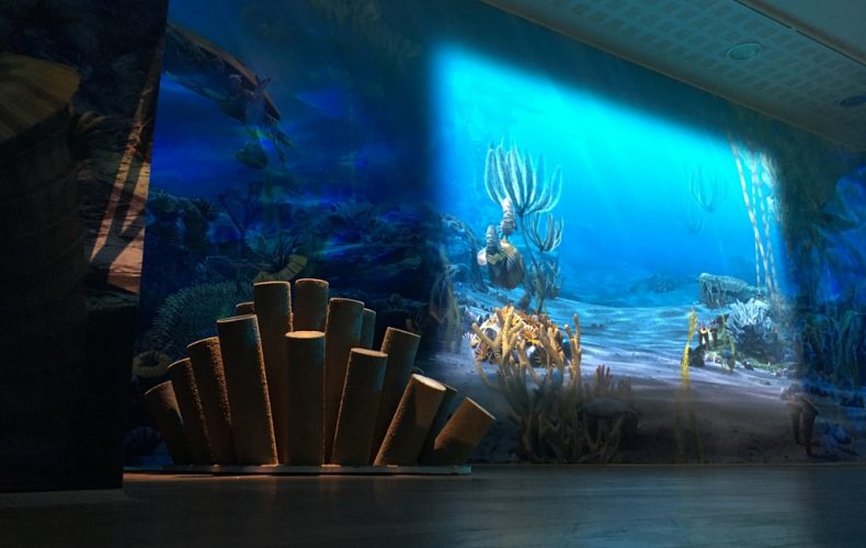 Jūras-dzelmju-noslēpums1