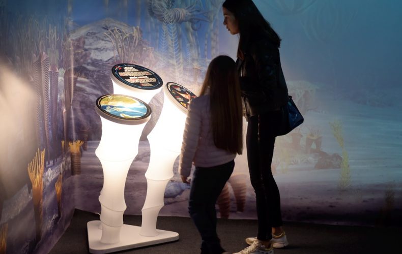 Jūras-dzelmju-noslēpums4