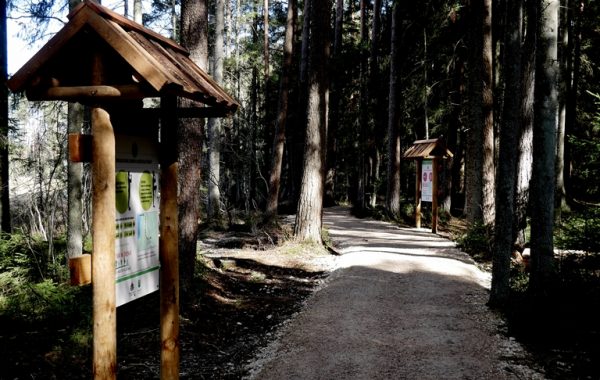 Ropaži-lielie-Kangari1