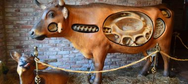 Музей молока