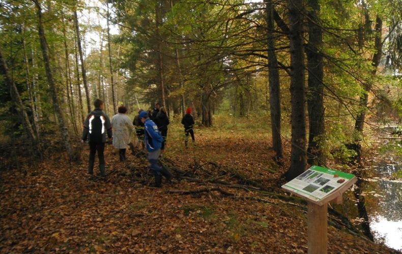 Pļavas-muzejs-daba1