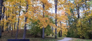 Игра — поход «Тропа буковых деревьев Прейльского парка»