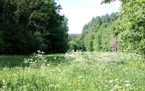 Auce-Ukru-gārša1
