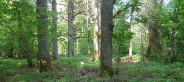 Природный заповедник «Укру гарша»