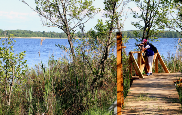 Ventspils-Būšnieku ezers