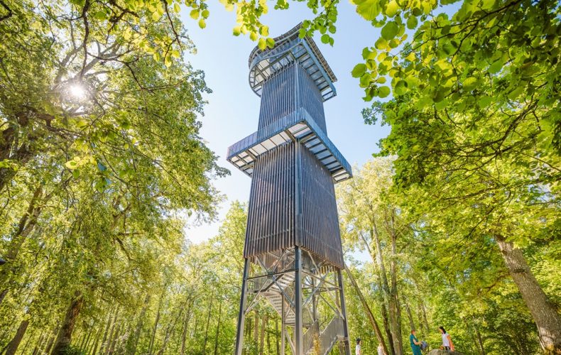 Zilaiskalna-veselības-taka-skatu-tornis-visitvalmiera (14)