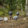 konu-kalns-akmens-izzinas-taka-visit-valmiera-2