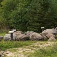 konu-kalns-akmens-izzinas-taka-visit-valmiera-4