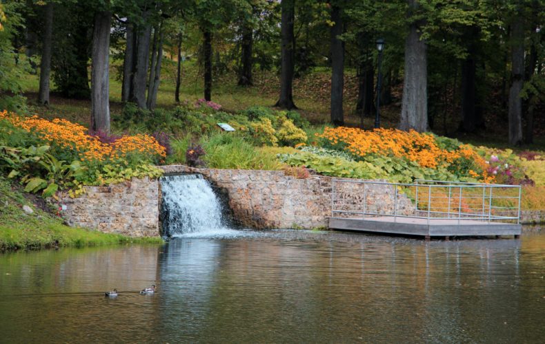 Kokneses parks (3)