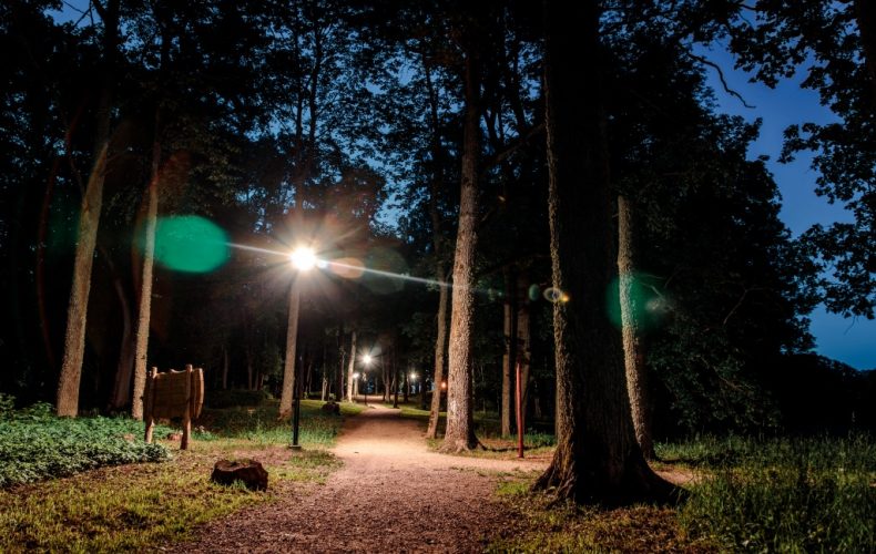 Kokneses parks (4)